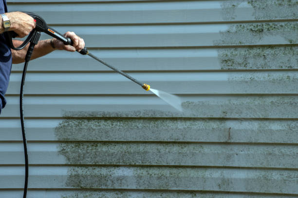 Best Soft Washing for Delicate Surfaces in Glendale Heights, IL